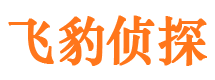 高港市私家侦探